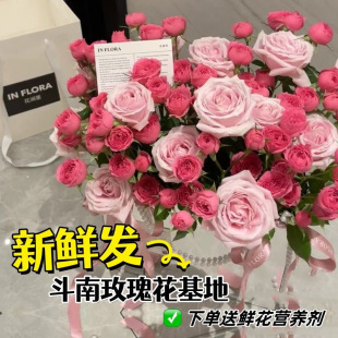 Flower Arrangement Water Flower Cultivation Express Elsa Single-Headed Rose Flower Bouquet Yunnan Straight Hair Valentine's Day Fresh Cut Flowers