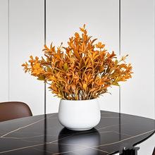 羳ֱ滨Gֲٻ辰͏dP[bСԼٲl