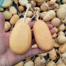 ���ϊA����J�����O������J�ߴ�5-10��������ͨ؛��Ȼ�Ϻ��J�S�C