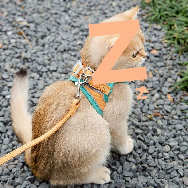 Поводок для кошек, специальная цепочка для прогулок на открытом воздухе, для кошек и собак, шлейка для собак, модная веревка для кошек