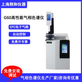 荆和气相 AnalyElf G60气相色谱仪生产厂家供应气相色谱分析仪