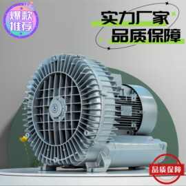 漩涡真空气泵 漩涡气泵的流量 双叶轮旋涡气泵厂家