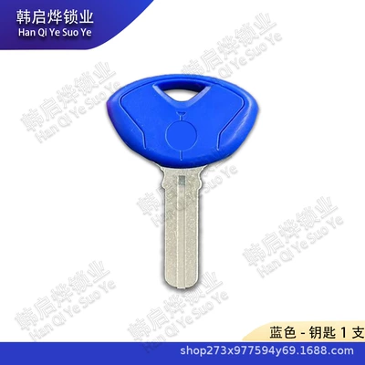 K1200 K1300 S1000R | Motorcycle Key
