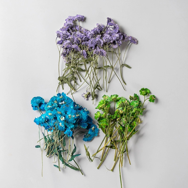 Ромашка с ветками тиснение eifera сушеный цветок образец растения лист дерева наклейки ручной работы DIY Материал закладки