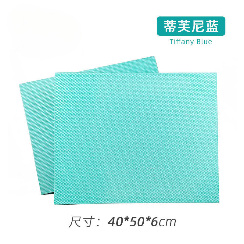 티파니 블루 40*50*6cm