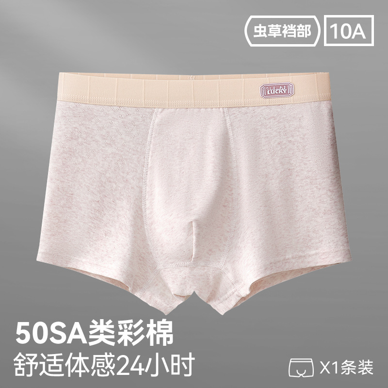 96027-그레이 퍼플