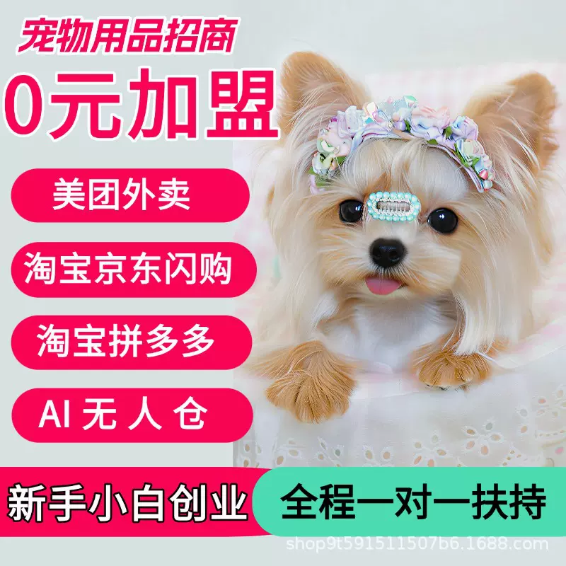 狗狗服装宠物用品外卖店货源萌宠玩具无人仓猫狗用品开店代理