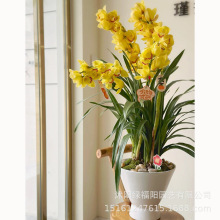 �������F�m��������M�á�����󻨶������҃Ȼ��ܽ��m�Gֲ�m����