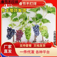 һ�����l�����籭��ꖹ�õ�����ј��m�ϱ��NֲͥԺ�ͺ�����޷�o