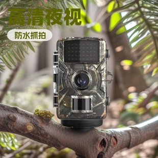 �羳�t�����CҰ��O�����C��ˮIP66�t��ҹҕ���C��춹��@�r������