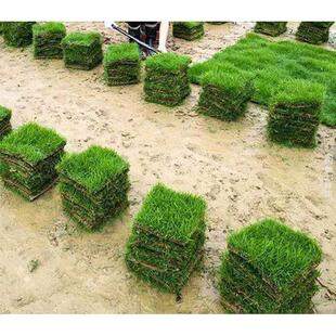 ���Ƥ��݄e��ͥԺ�G���R������̺���ͺ���ƺ���������̨������