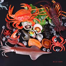 海鲜模型生鲜果蔬菜品扇贝生蚝海参鲍鱼鱿鱼螃蟹龙虾道具玩具