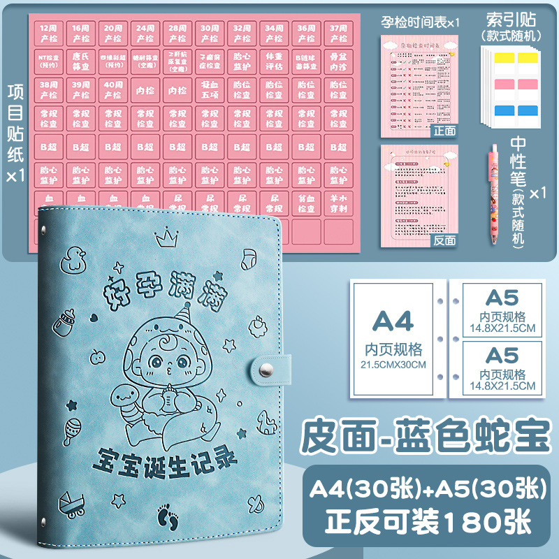 Formulario de informe del libro de aceptación del examen de embarazo