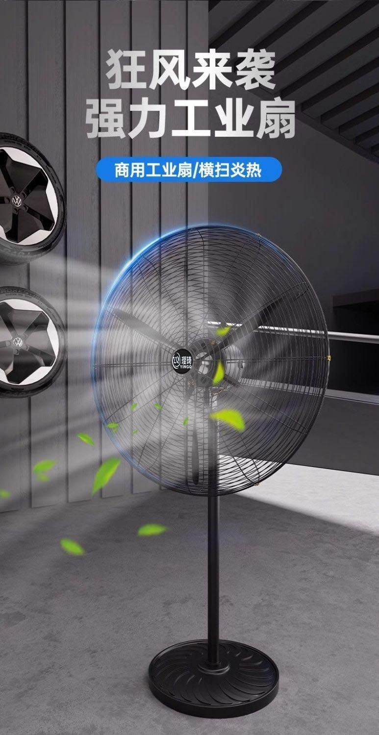 ceaa6379-fa6e-4ce2-ae52-796146070048.jpe