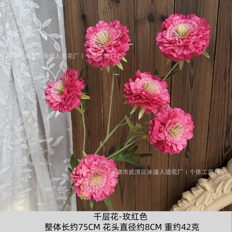 천겹꽃