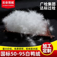 国标羽绒定制90纯白鸭绒服装标准广检厂家批发95白鸭绒填充物散装