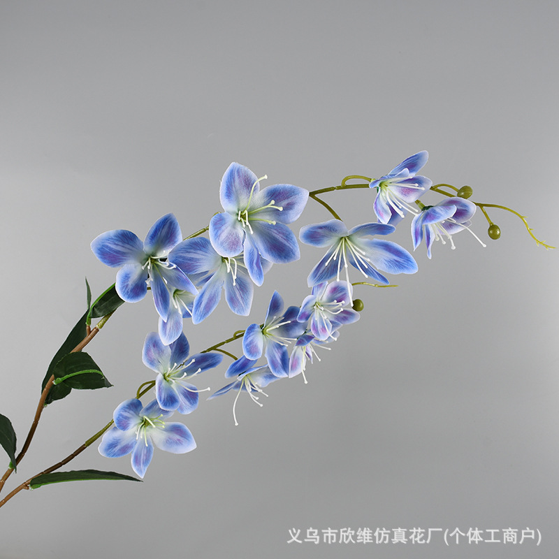 垂丝茉莉蓝色