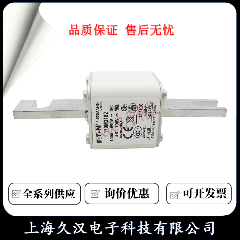 170M3162 170M3163 170M3164 170M3165 BUSSMANN 熔断器 保险丝