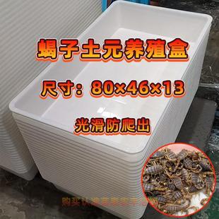 ˤ�����ͺ�ϐ����B���Bֳ�S��ֱ�N���w�Ӻ�⻬��Ԫ����