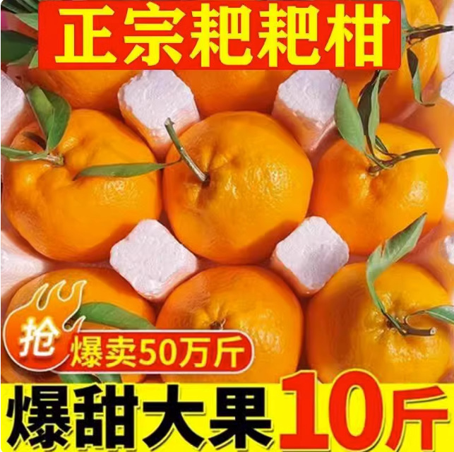 Authentic Fresh Seasonal Ugly Oranges in Whole Boxes for Wholesale 5kg