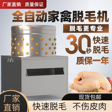 ����Óë�C늄Ӱ�ë�C��ë��ȫ�ԄӰ�ë��������Óë�C����Óë�C