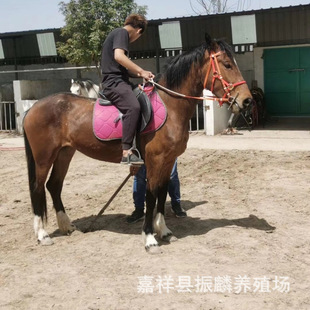 �㽭�������T�R��Ůʿ�T�˜�Ѫ�R���w�RӖ�õ������R�������R