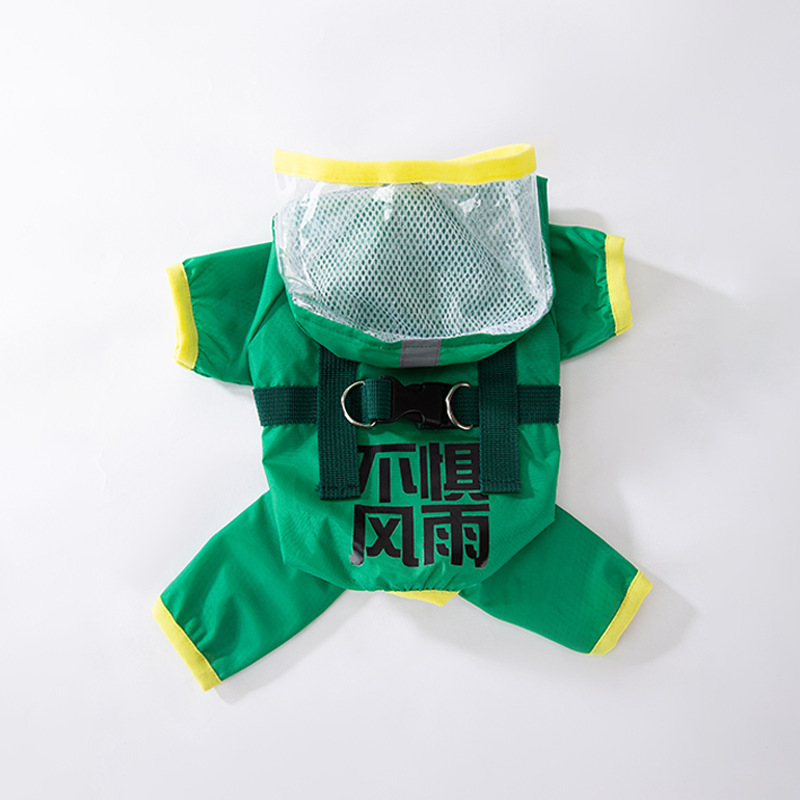 Verde no tiene miedo del viento y la lluvia