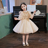 Children's evening dress, piano performance costume, small princess costume, Birthday gift