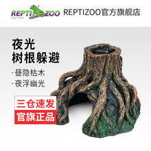 ��ƤReptizoo����ҹ����������������ع�֩�������׷����쾰����