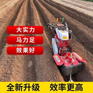 ����΢���C�r������ڜϺ�������������ϷN�����@�¿��_�������C