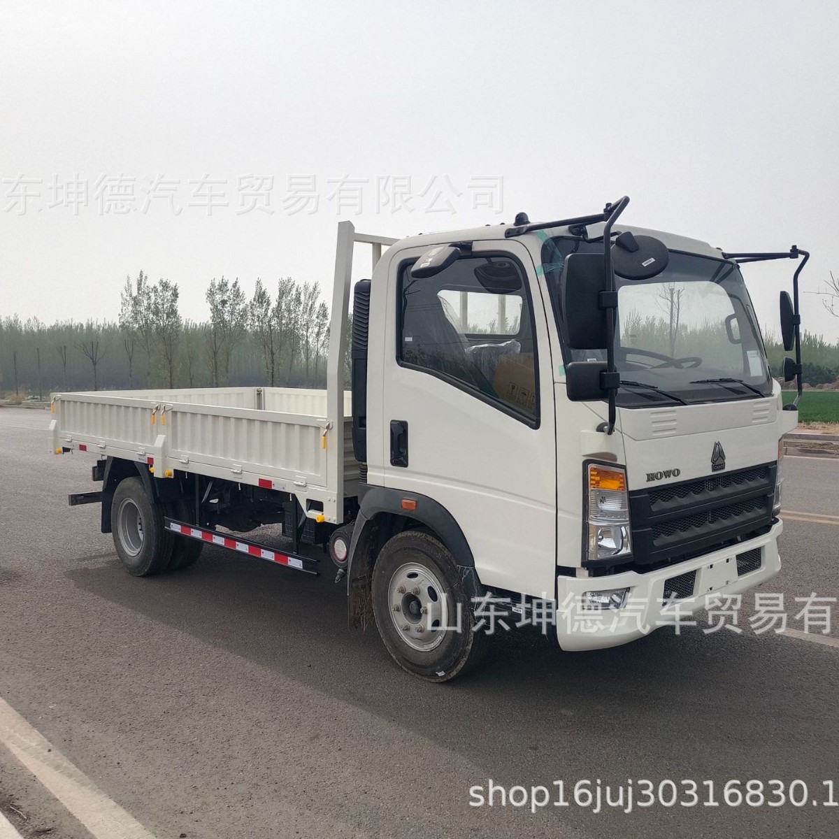 4x2 4x4 5吨豪沃轻卡载货车出口到菲律宾