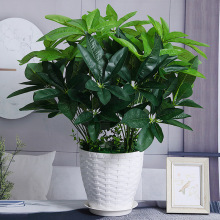 Gֲlؔ~҃͏dٻֲҾb۸廨