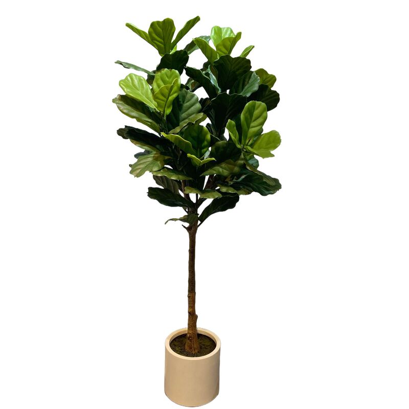 仿真绿植琴叶榕落地盆栽·室内大型摆件装饰仿真植物假树|undefined
