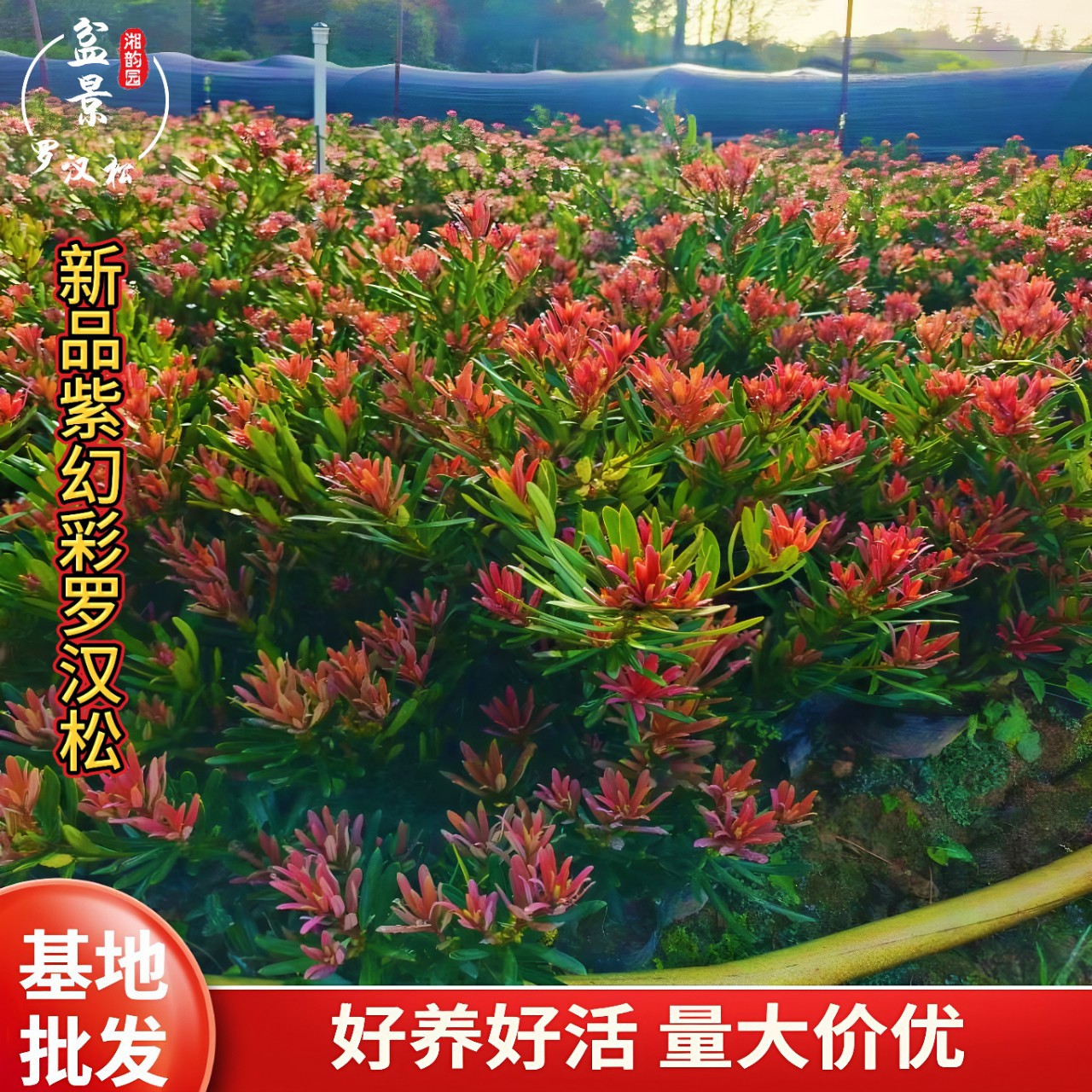 办公室