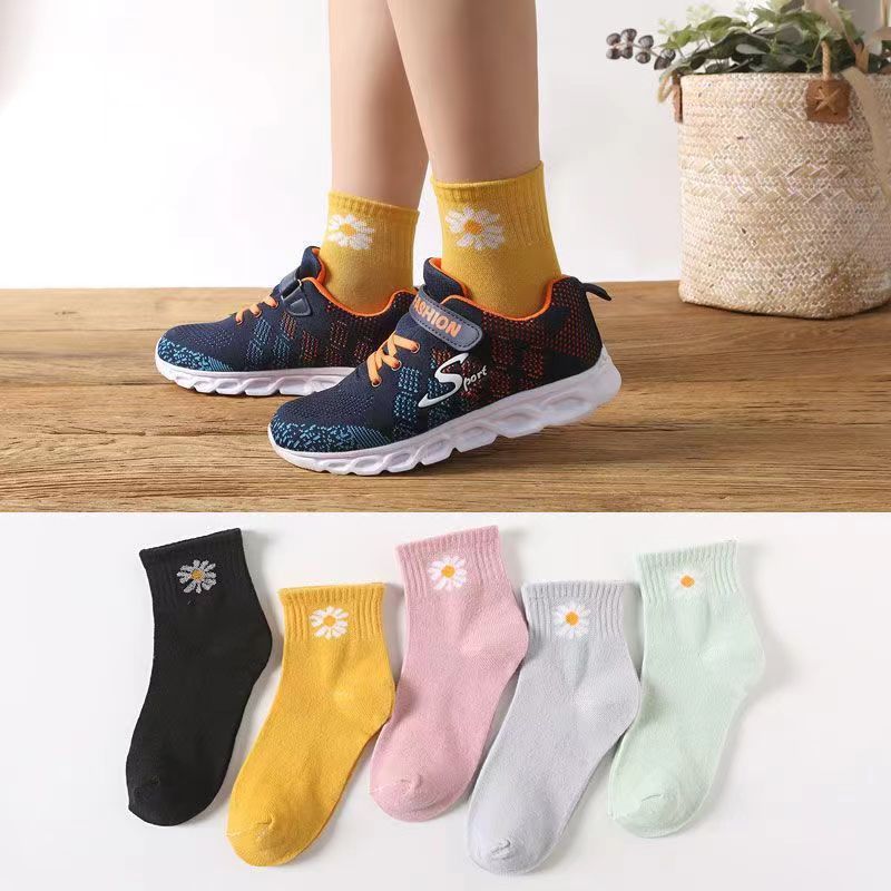 작은 데이지 섹션