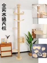 ؈����ͨ������ľ؈�C؈��؈��һ�w؈�e�������K�������؈ץ��