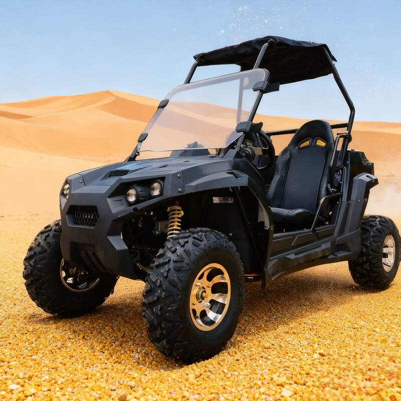Factory Direct Sales 60V3000W Electric Beach Car Utv Off-Road Vehicle Atv All-Terrain Snowmobile