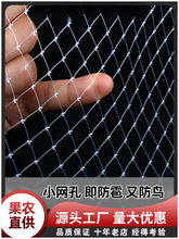 ���B�W������@�������������B�þW�r�Ù��Ҙ�Ό��������~����W