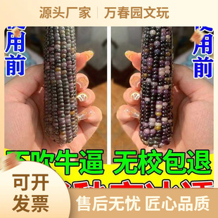 Դ�^���]���l�������ױ��B����ɫ���{���߲�С�����ְѼ��P����