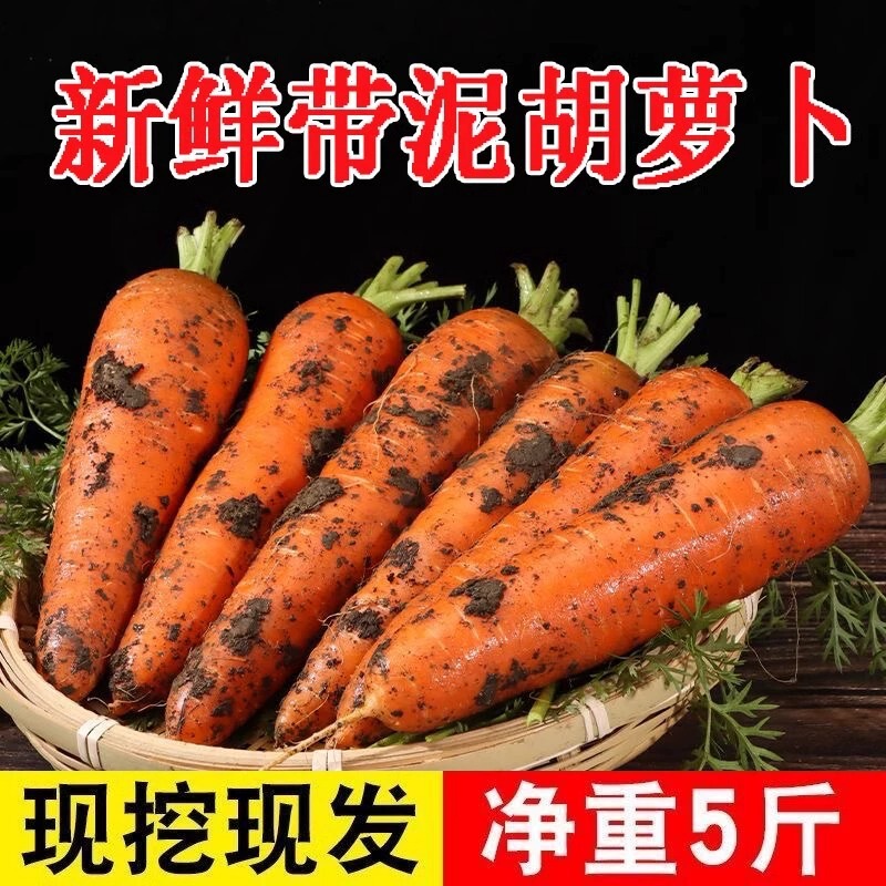 Fruits, Carrots, Fresh Vegetables, 5kg Farm-Grown Carrots with Puree, Freshly Dug Sand Carrots, Crispy, Sweet and Refreshing, Whole Box