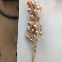 �羳����14�^���J����t���J�߷����b������ÏS��ֱ�N���l