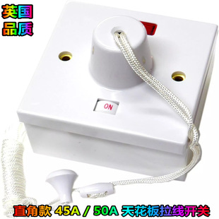 CE Ӣ��Ӣʽ ԡ�ҏN���컨�������_�P 45A DP PULL SWITCH + NEON