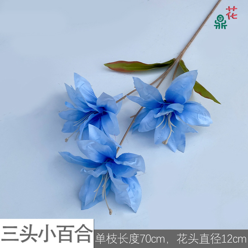 세 머리 릴리 LS 블루