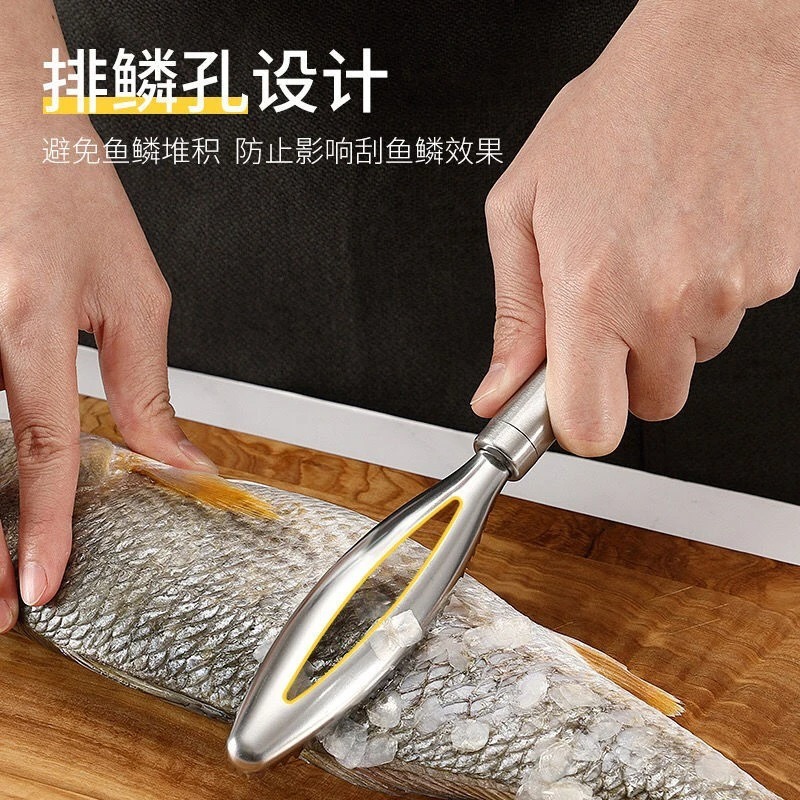 ステンレス鋼の魚鱗スクレーパー、多機能魚鱗スクレーパー、キッチン魚鱗ツール、魚鱗スクレーパー、手動魚鱗除去ツール|undefined