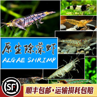 ԭ�������r��ˮ�����r�ښ������t���r������ˮ�����y�۷��r���w