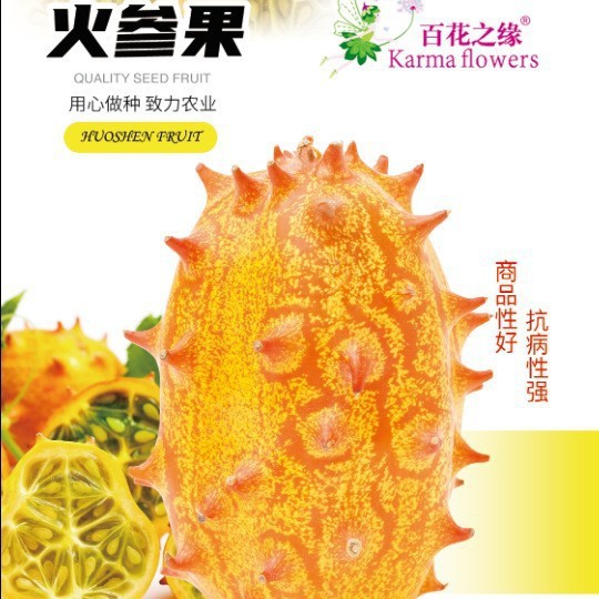 火参果种子非洲蜜瓜种籽刺角瓜火星果籽 海参果特色水果种子包邮