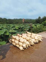 \ˮźNɏźNźˮźN ߮aʳɏźN źź1