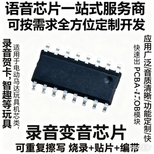 ë�q늄�����Z��оƬ ���|������� �m�Ã�ͯ���ǰlIC�Z���R�e