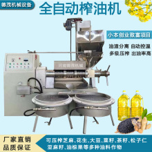 家用芝麻炸油机器全自动商用榨油机小型不锈钢花生菜籽螺旋榨油机