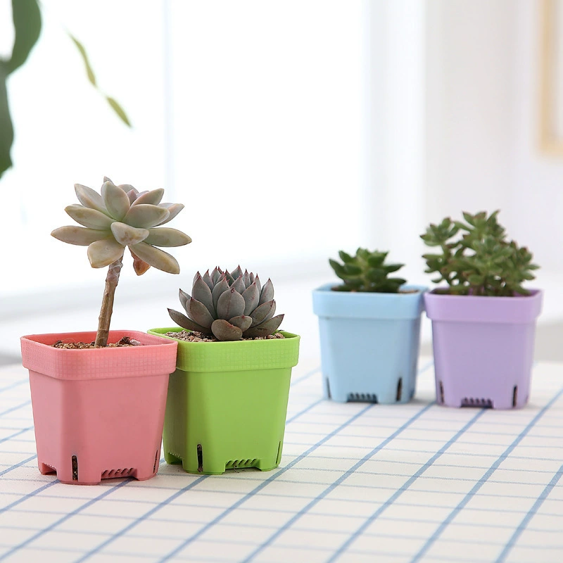 Утолщенный маленький черный квадратный цветочный горшок мясистый горшок для детской каменный цветочный посадка пластиковый маленький квадратный горшок для детской оптом утолщенный дышащий горшок